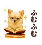 秋冬ずっと使える♡ 気づかいチワワ（個別スタンプ：30）