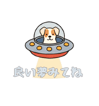 UFOで宇宙犬2日常（個別スタンプ：5）