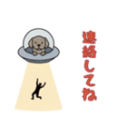 UFOで宇宙犬2日常（個別スタンプ：7）