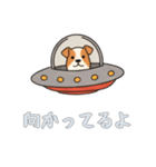 UFOで宇宙犬2日常（個別スタンプ：8）