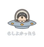 UFOで宇宙犬2日常（個別スタンプ：11）