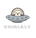 UFOで宇宙犬2日常（個別スタンプ：12）