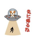 UFOで宇宙犬2日常（個別スタンプ：13）