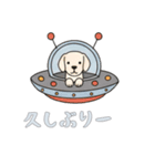 UFOで宇宙犬2日常（個別スタンプ：14）