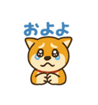 柴犬ペットの毎日使える日常会話スタンプ（個別スタンプ：8）