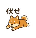 柴犬ペットの毎日使える日常会話スタンプ（個別スタンプ：26）