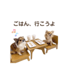 もなめん02（個別スタンプ：6）