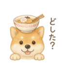 何かかぶってるワンコ（個別スタンプ：13）