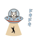 UFOで宇宙犬3日常（個別スタンプ：2）