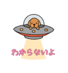 UFOで宇宙犬3日常（個別スタンプ：6）