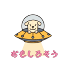 UFOで宇宙犬3日常（個別スタンプ：7）