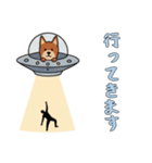 UFOで宇宙犬3日常（個別スタンプ：8）