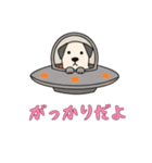 UFOで宇宙犬3日常（個別スタンプ：10）