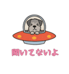 UFOで宇宙犬3日常（個別スタンプ：11）