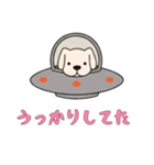 UFOで宇宙犬3日常（個別スタンプ：12）