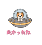 UFOで宇宙犬3日常（個別スタンプ：13）