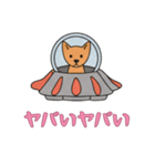UFOで宇宙犬3日常（個別スタンプ：14）