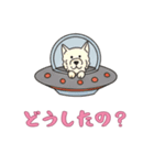 UFOで宇宙犬3日常（個別スタンプ：15）