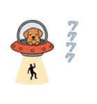 UFOで宇宙犬3日常（個別スタンプ：16）
