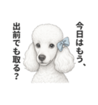 お疲れ母プードル（個別スタンプ：1）
