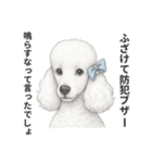 お疲れ母プードル（個別スタンプ：3）