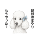 お疲れ母プードル（個別スタンプ：8）