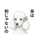 お疲れ母プードル（個別スタンプ：9）