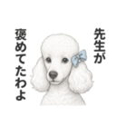 お疲れ母プードル（個別スタンプ：10）
