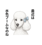 お疲れ母プードル（個別スタンプ：14）