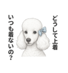 お疲れ母プードル（個別スタンプ：18）