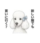 お疲れ母プードル（個別スタンプ：21）