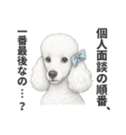 お疲れ母プードル（個別スタンプ：26）