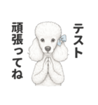 お疲れ母プードル（個別スタンプ：27）