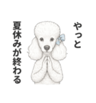 お疲れ母プードル（個別スタンプ：28）