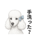 お疲れ母プードル（個別スタンプ：29）