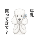 お疲れ母プードル（個別スタンプ：31）