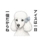 お疲れ母プードル（個別スタンプ：35）