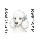 お疲れ母プードル（個別スタンプ：37）