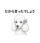 お疲れ母プードル（個別スタンプ：40）