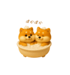 双子のぽっちゃり柴犬2（個別スタンプ：35）