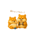双子のぽっちゃり柴犬2（個別スタンプ：38）