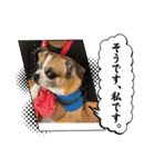 のぞキック（個別スタンプ：5）