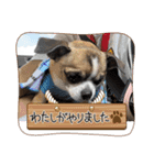 のぞキック（個別スタンプ：14）