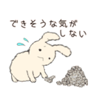 フワッとしたこと言うウサギ（個別スタンプ：25）