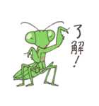 ゆかいなカマキリスタンプ（個別スタンプ：5）
