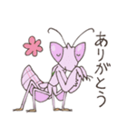ゆかいなカマキリスタンプ（個別スタンプ：6）