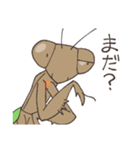 ゆかいなカマキリスタンプ（個別スタンプ：20）