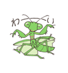 ゆかいなカマキリスタンプ（個別スタンプ：26）