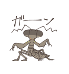 ゆかいなカマキリスタンプ（個別スタンプ：36）