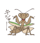 ゆかいなカマキリスタンプ（個別スタンプ：38）